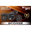 V7 19 TROFEO