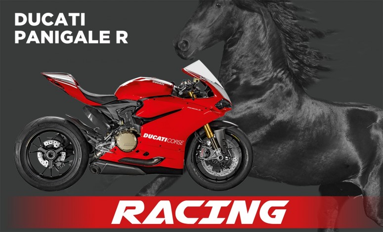 R 15 D171CORSE TRACK