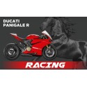 R 15 D170 FR TRACK