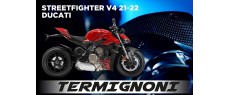 SFV4 21 TER D205 FR