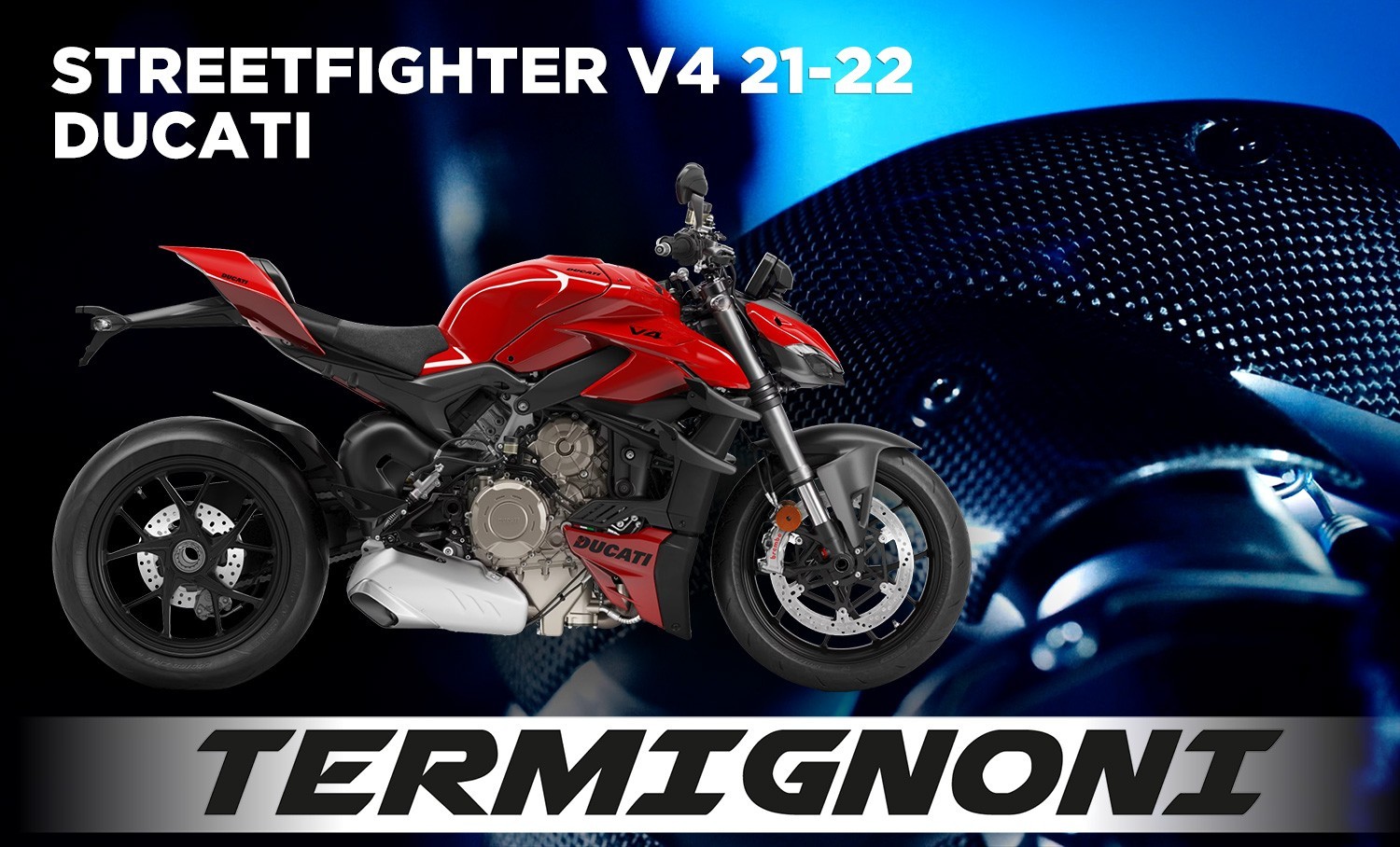 SFV4 21 TER D205 FR