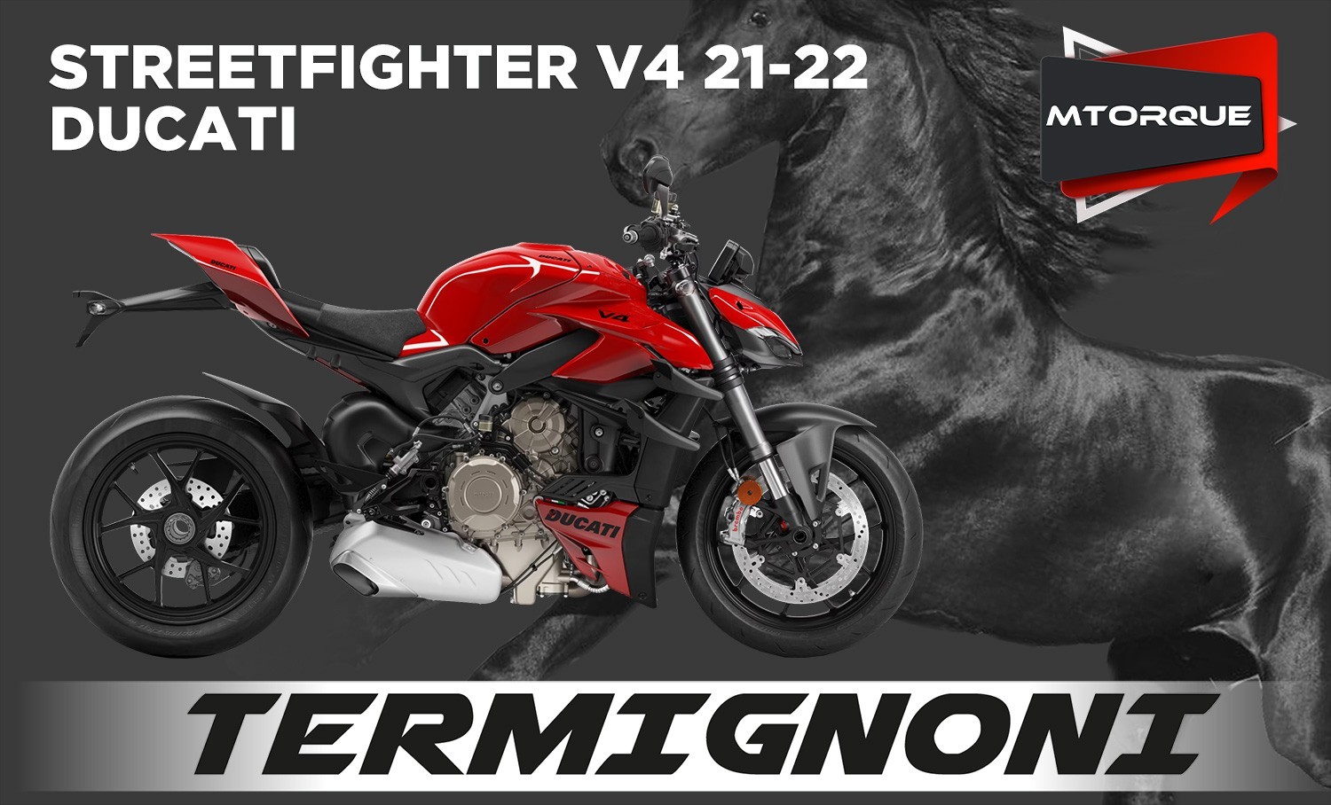 SFV4 21 TER D199 SD MTORQUE