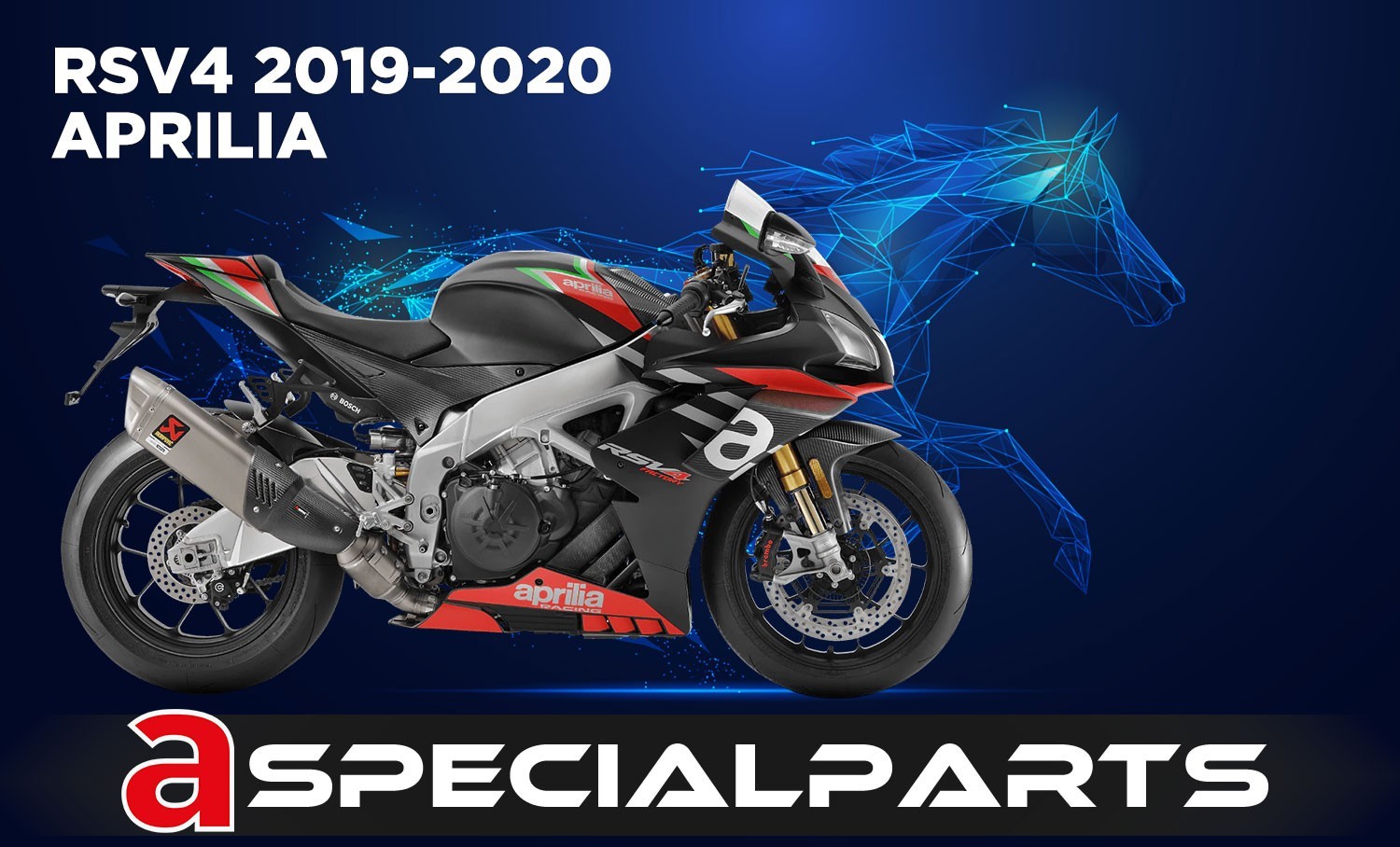 RSV4 1100 19 OEM