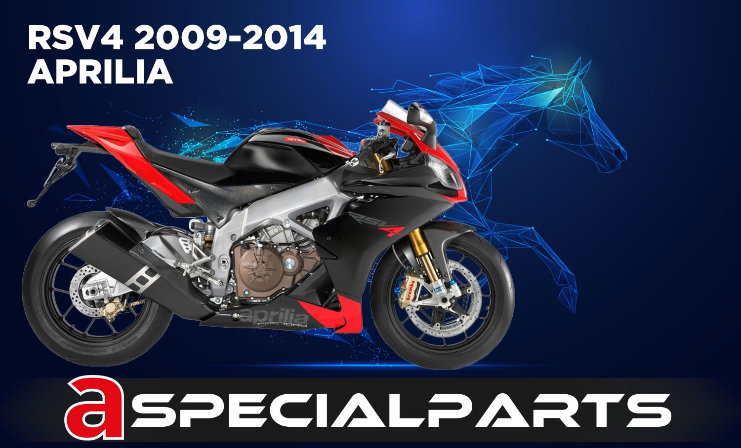 RSV4 09 RACE SR