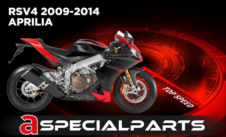 RSV4 09 TRACK AKR EV1 FR