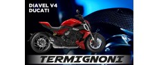 DV4 23 EU TER SR