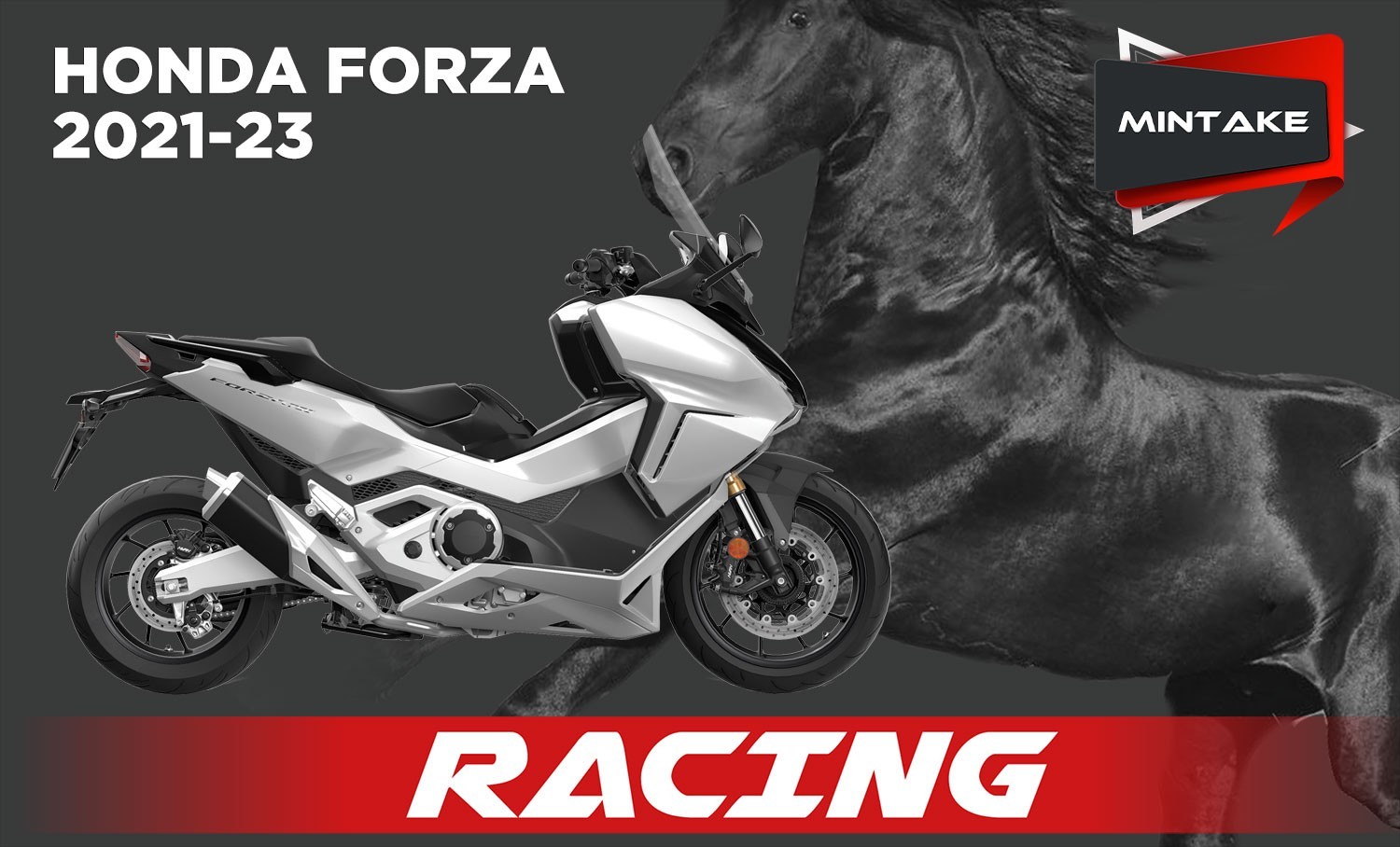 FORZA 21 H176 SO MINTAKE