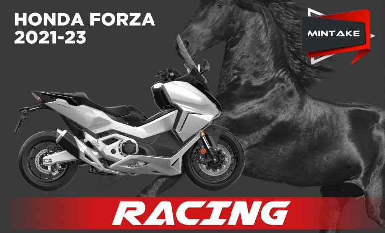 FORZA 21 H176 SO MINTAKE
