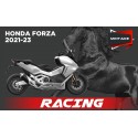 FORZA 21 H176 SO MINTAKE