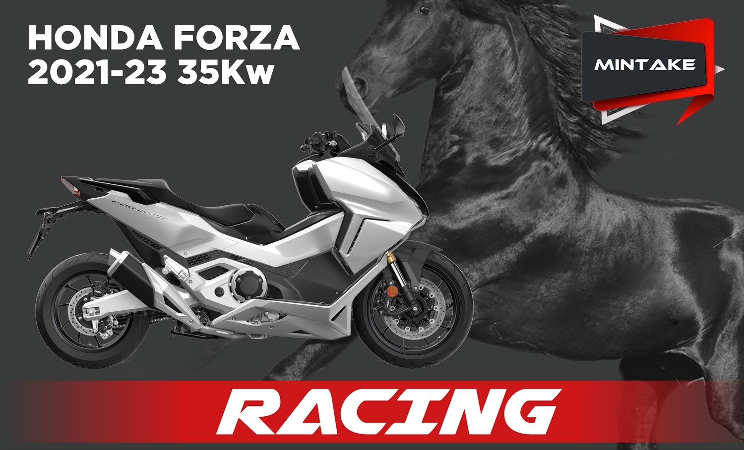 FORZA 21 35KW H176 SO MINTAKE