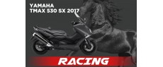 TMAX530 SX 17 Y113 FRN