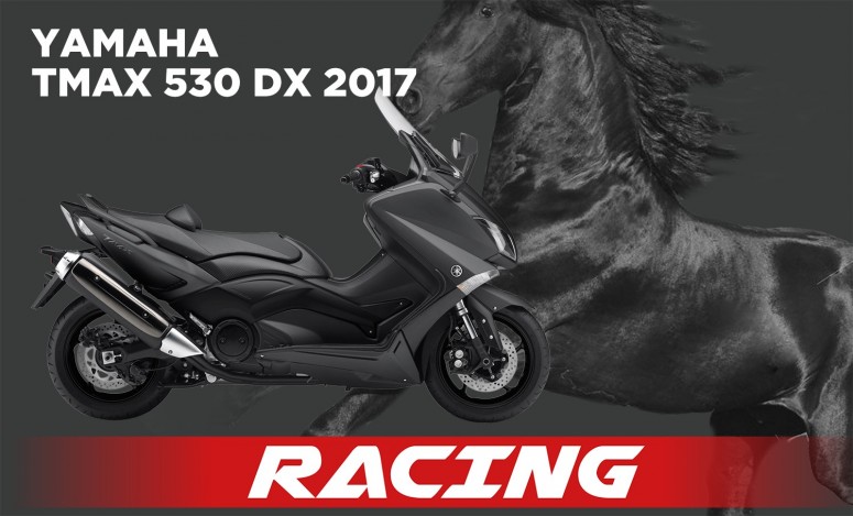 TMAX530 DX 17 Y113 FRN