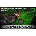 MTSV4 PP 22 EU TER SRN ECO