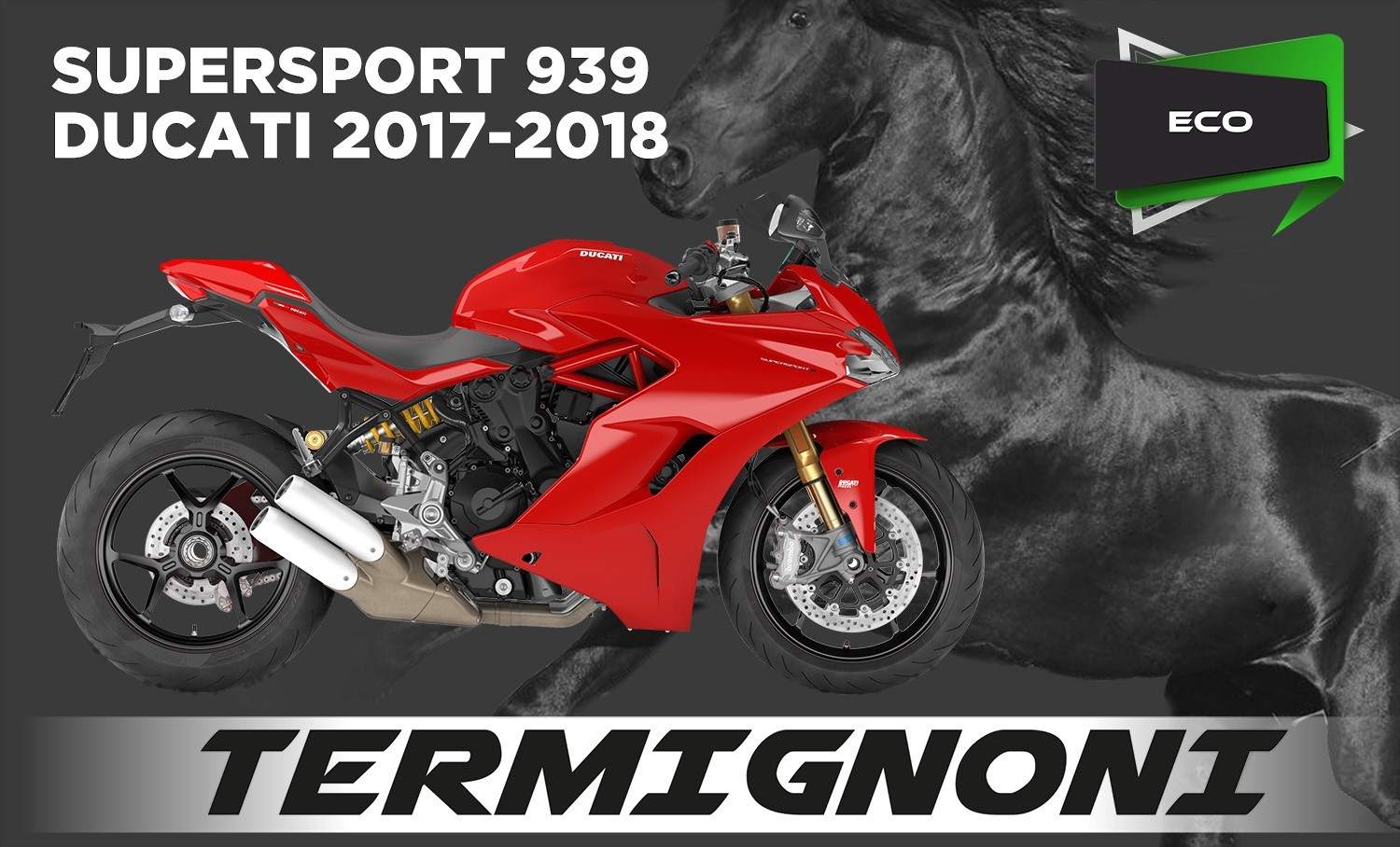 SS939 17 D181 FR	ECO