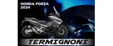 FORZA 24 TER SO