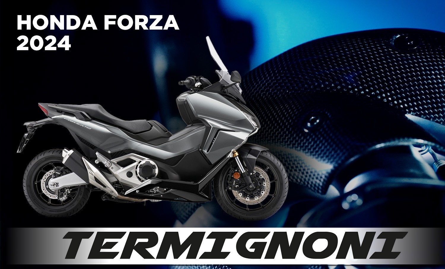 FORZA 24 TER SO