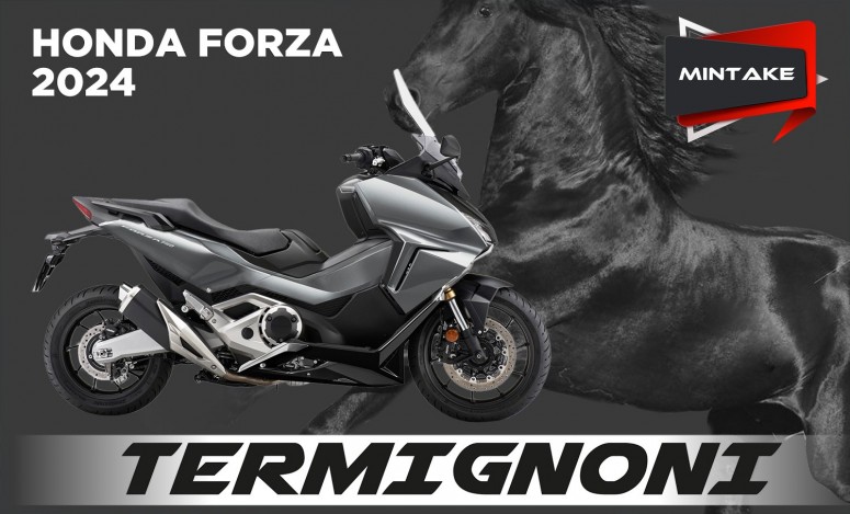 FORZA 24 TER SO MINTAKE