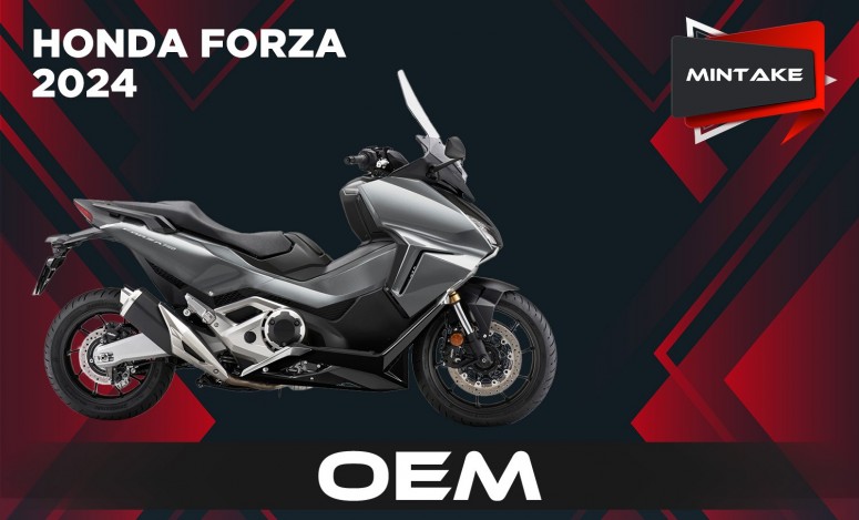 FORZA 24 OEM MINTAKE