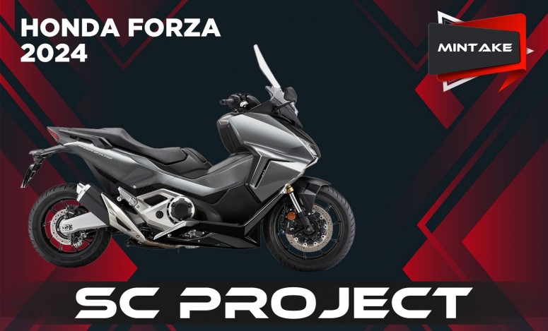 FORZA 24 SCP SO MINTAKE