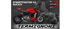 SFV2 22 CHN TER D220 FR MINTAKE