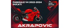 V4 22 DP2 EVO AKR FRL