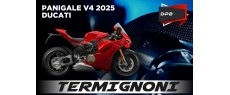 V4 25 DP2 TER FR