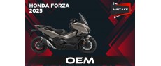FORZA 25 EU OEM MINTAKE