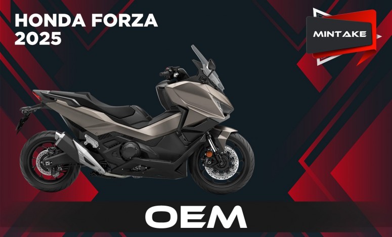 FORZA 25 EU OEM MINTAKE