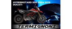 H950 19 OEM 35KW