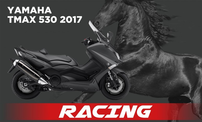 TMAX530 SX 17 AK FRN
