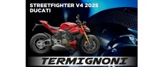 SFV4 25 US TER FD