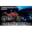 SFV4 25 US TER SR