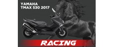 TMAX530 DX 17 AK FRN