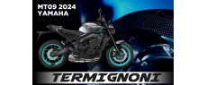 MT09 24 EU TER Y132 FDH