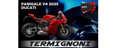 V4 25 DP1 TER FR