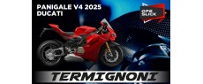 V4 25 DP2 SLICK TER SD