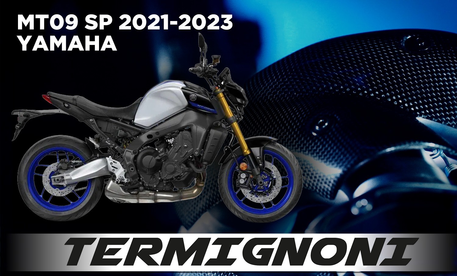 MT09 SP 21 EU TER Y133 FRL