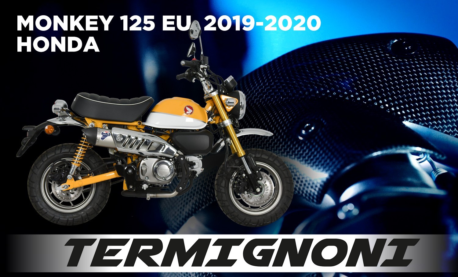 Z125M D11 EU 19 H165 FR