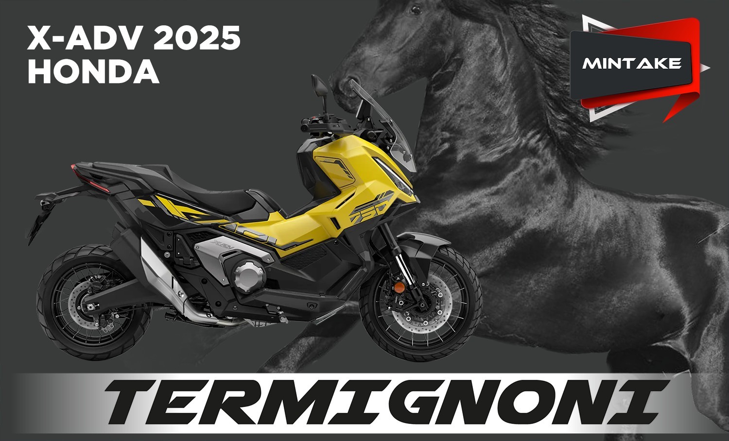 XADV 25 35KW TER SO MINTAKE