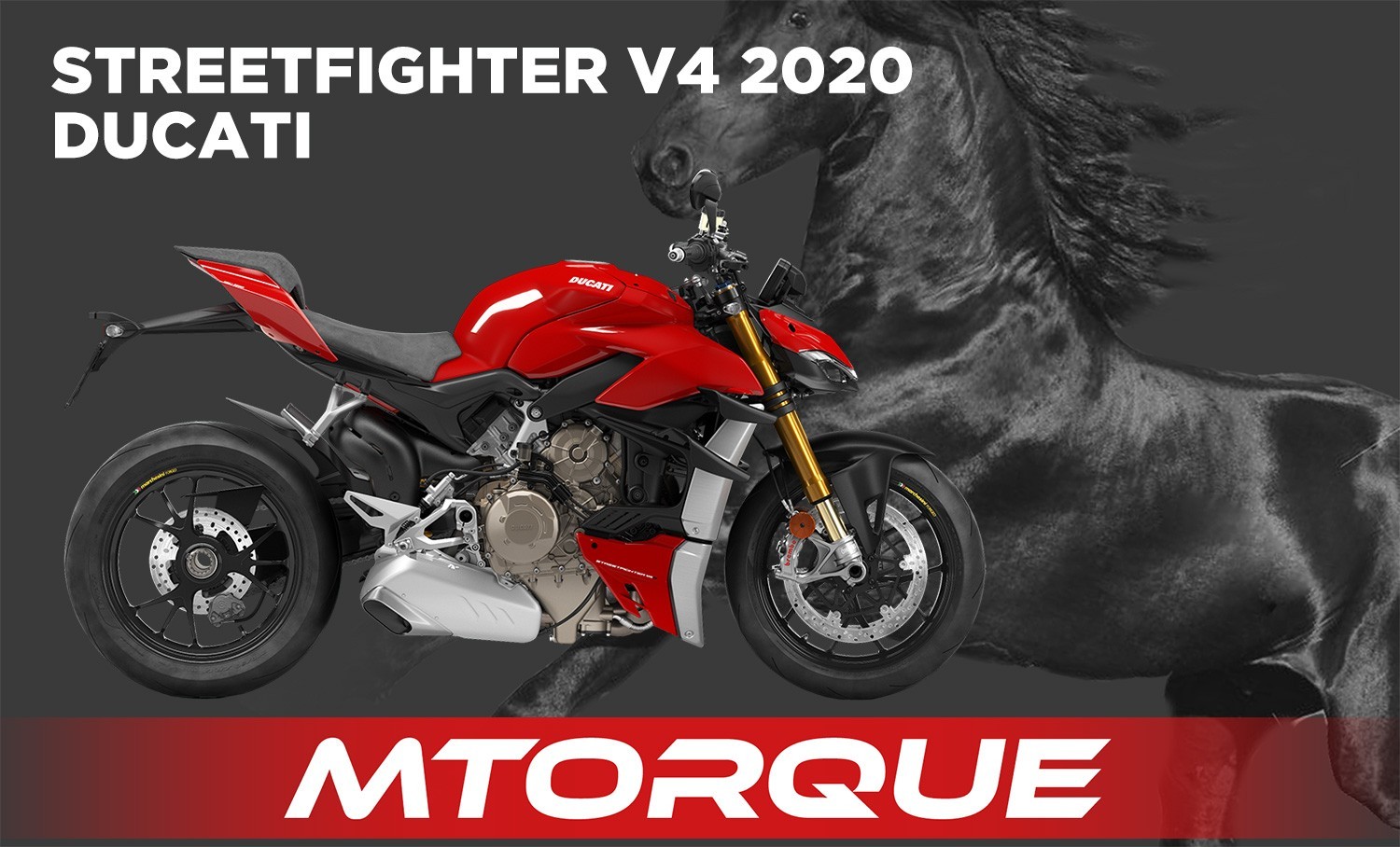 SFV4 20 OEM MTORQUE