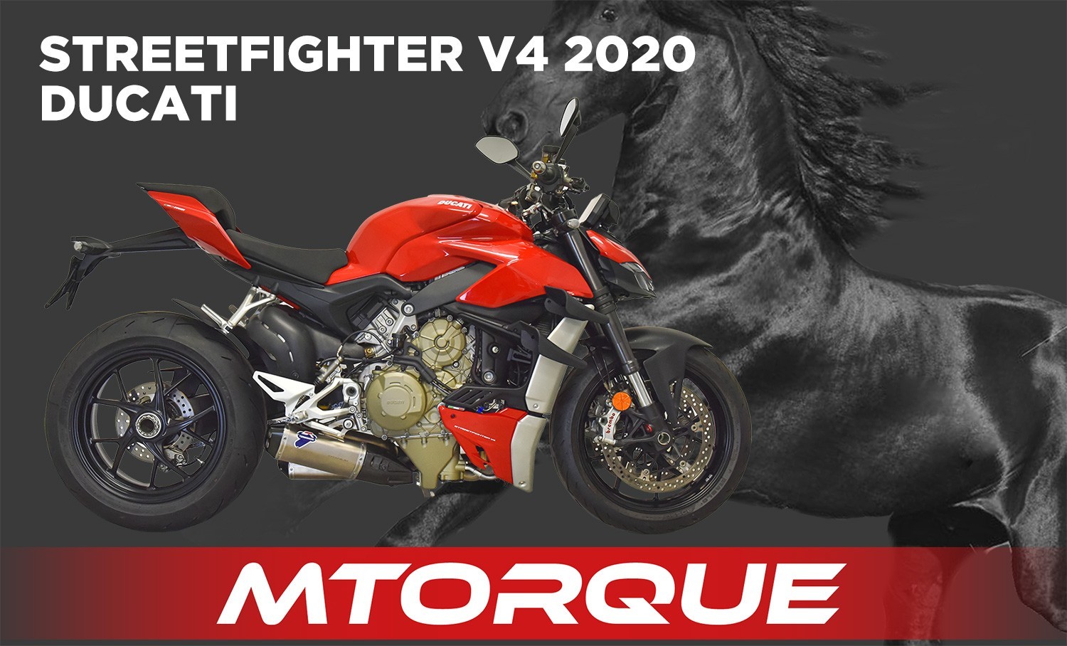 SFV4 20 D199 SR MTORQUE